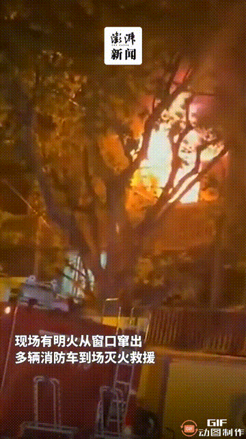 凌晨，上海32岁女子在闺蜜卧室纵火自焚： 她死了，却把19岁闺蜜坑毁了（组图） - 2