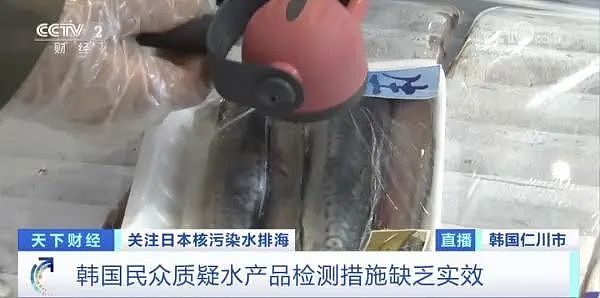 金枪鱼价一夜暴跌24%！日本水产业慌了：中国发禁令后，有老板“大脑一片空白”（组图） - 5
