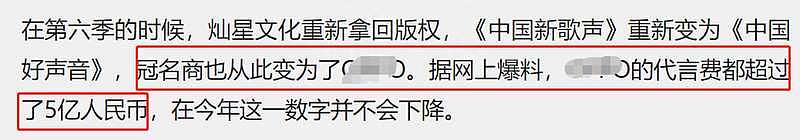 好声音停播损失惨重！或赔付7个广告商超5亿广告费，股价跳水暴跌（组图） - 11