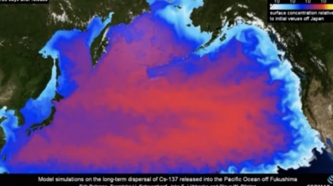 福岛核污水排入大海，多国发禁令，澳洲美国回应！57天后流入太平洋，危害有哪些？（组图） - 39