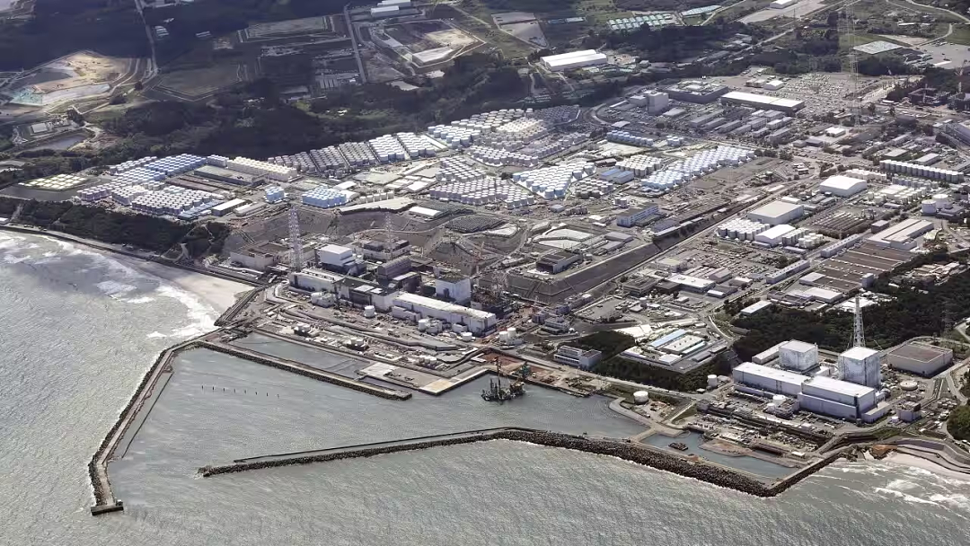 “很放心” 澳洲竟公开支持日本核污水排海！一年进口千万+日本水产，真的不用担心吗？（组图） - 14
