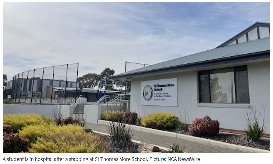 澳洲12岁小学生校园内持刀捅人被捕，墨尔本4名老师被学生殴打（组图） - 3