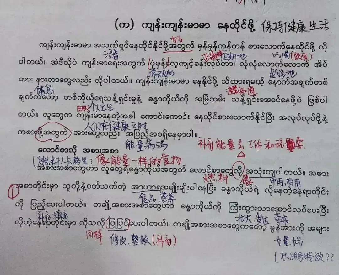 被妖魔化的缅甸语学生：我们学这个不是为了搞诈骗（组图） - 9