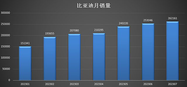 比亚迪首度反超特斯拉（组图） - 3