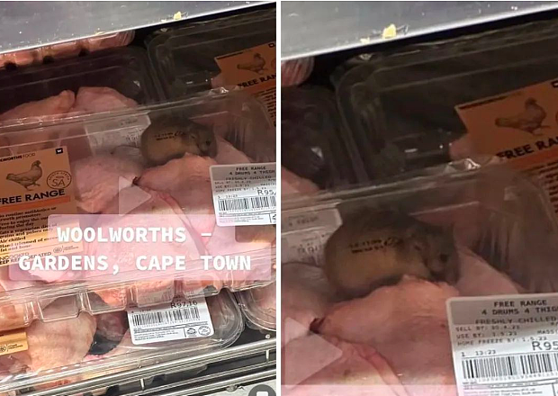 因为一张收费图片，西澳Woolworths惹众怒；恶心！芸豆罐头出现死老鼠，这家超市巨头做法令人愤怒（组图） - 8