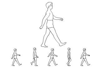 走路就能降低死亡风险，新研究找到了“最佳步数”（组图） - 3
