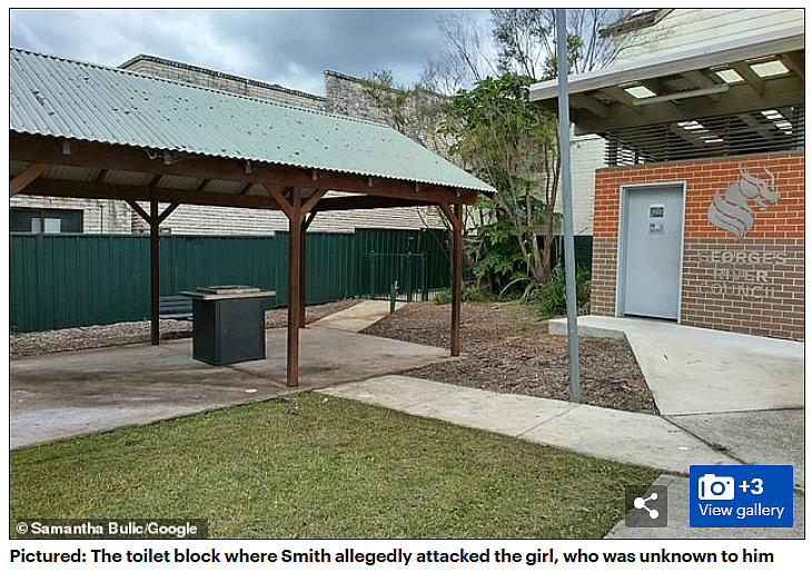 太卑鄙了！澳洲8岁男孩在公园厕所里被扎，针头居然藏在了这里，家长们要注意啦（组图） - 15