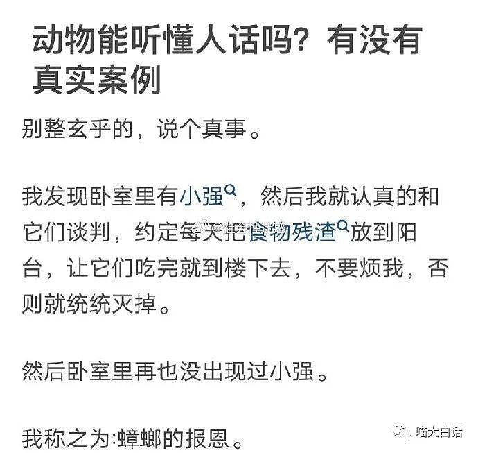 【爆笑】“网友中元节出门撞见了好多鬼？”哈哈哈哈哈哈有被回答冒犯到（组图） - 41