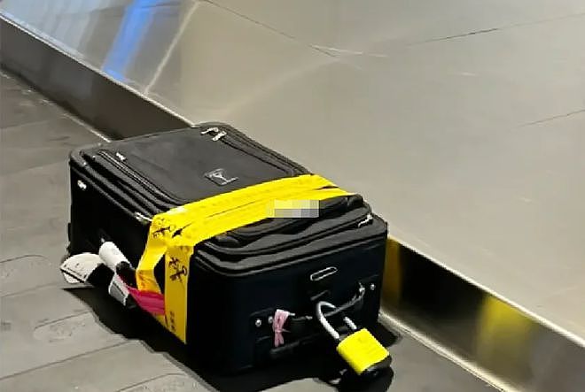 回国注意了！一个航班100多人行李被上“大黄锁”，原因竟是这个…（组图） - 13