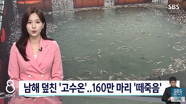 首次！ 日本排核污后海水检测出氚！ 大规模集体食物中毒接连发生， 韩100万条鱼死亡（组图） - 9