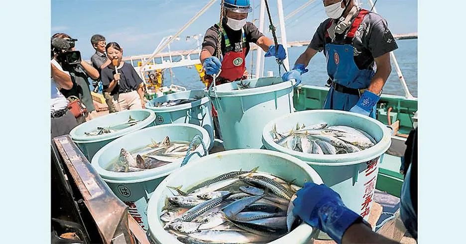 首次！ 日本排核污后海水检测出氚！ 大规模集体食物中毒接连发生， 韩100万条鱼死亡（组图） - 7