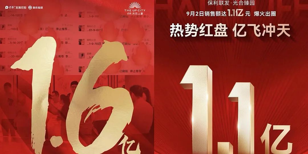 一楼盘单日热销超56亿，这个周末爆了（组图） - 4