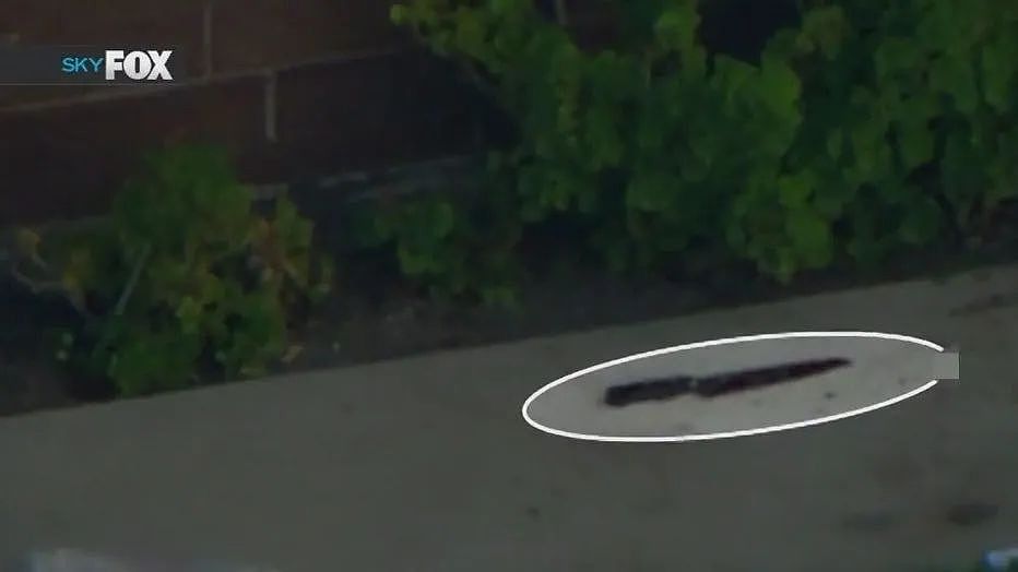 洛杉矶华人区一男子用菜刀砍死父亲，被警察乱枪击毙（视频/组图） - 2