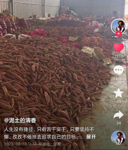 30年前的大学生，如今在河南农村卖红薯：他的幸福，你想不到……（组图） - 2