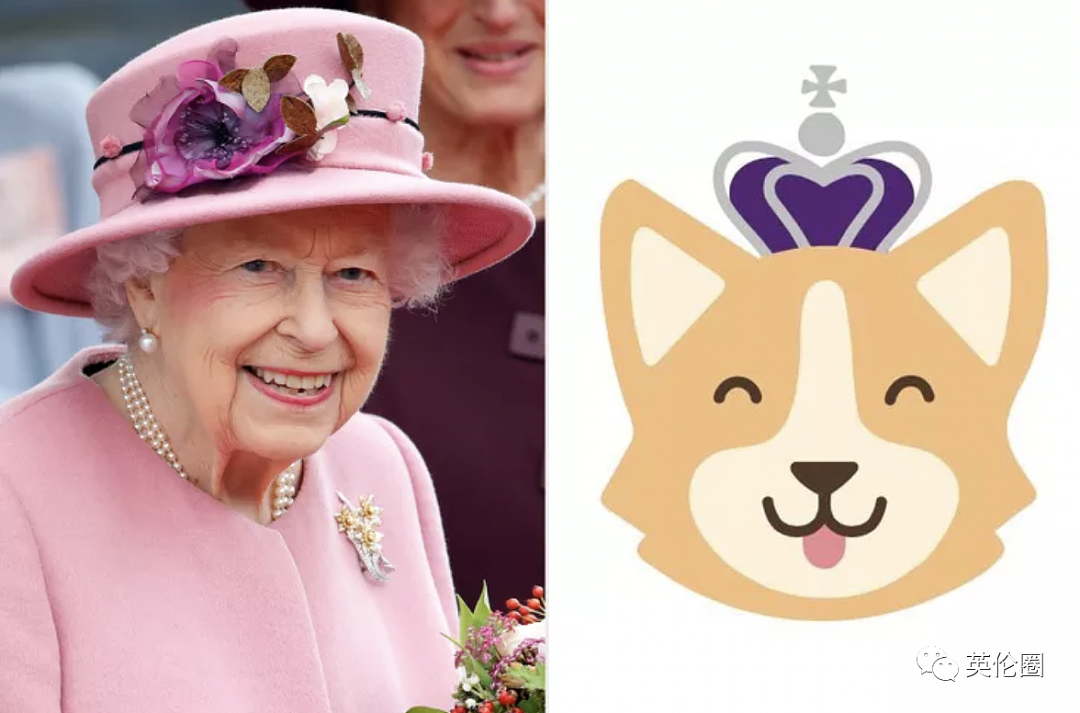 女王去世一周年，柯基爱好者齐聚白金汉宫！一生养了几十只，狗狗不够马来凑（组图） - 3
