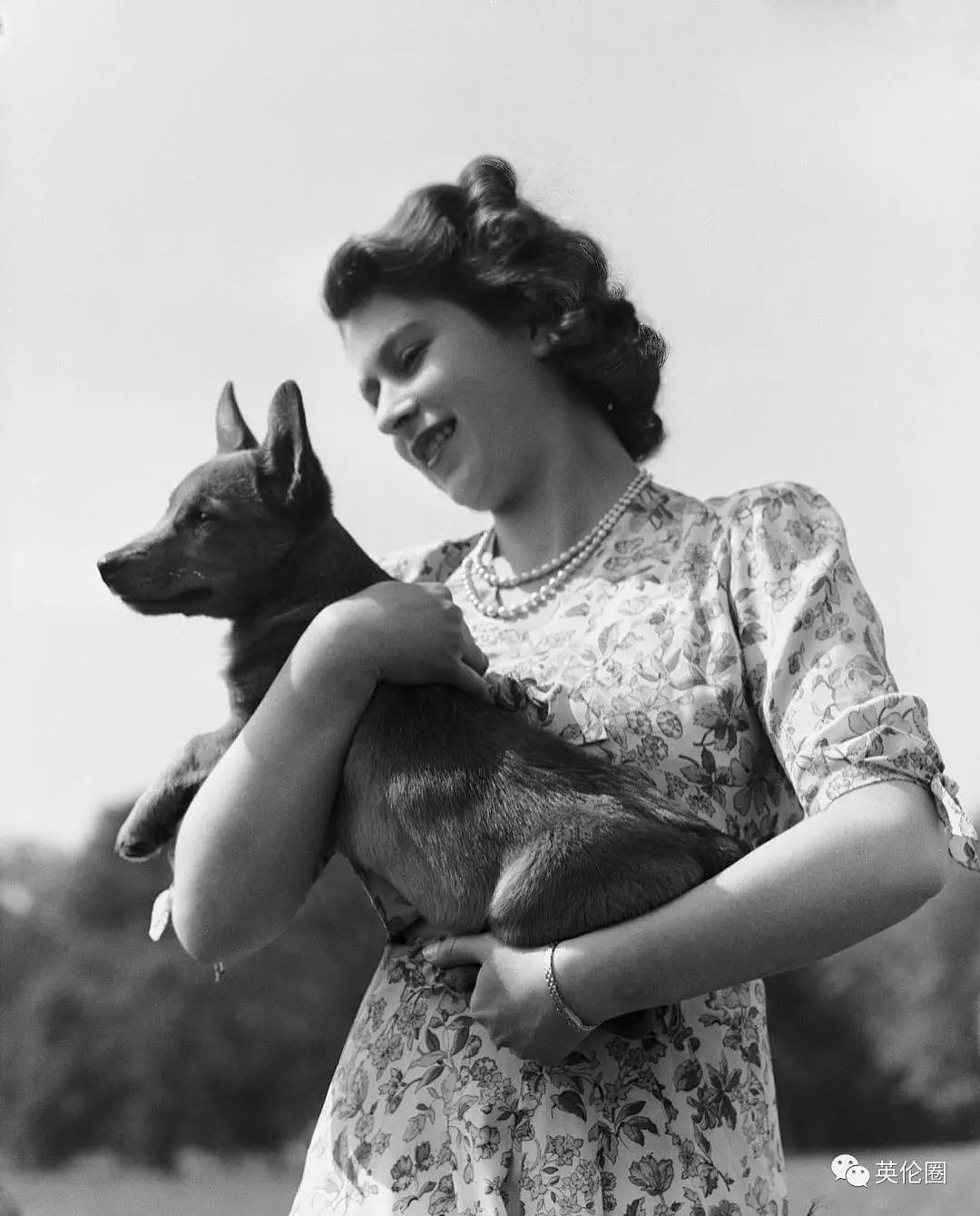 女王去世一周年，柯基爱好者齐聚白金汉宫！一生养了几十只，狗狗不够马来凑（组图） - 4