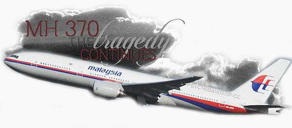 最新进展！马航MH370预测位置曝光，坠落地疑在这！229页报告揭最后几小时情况（组图） - 8