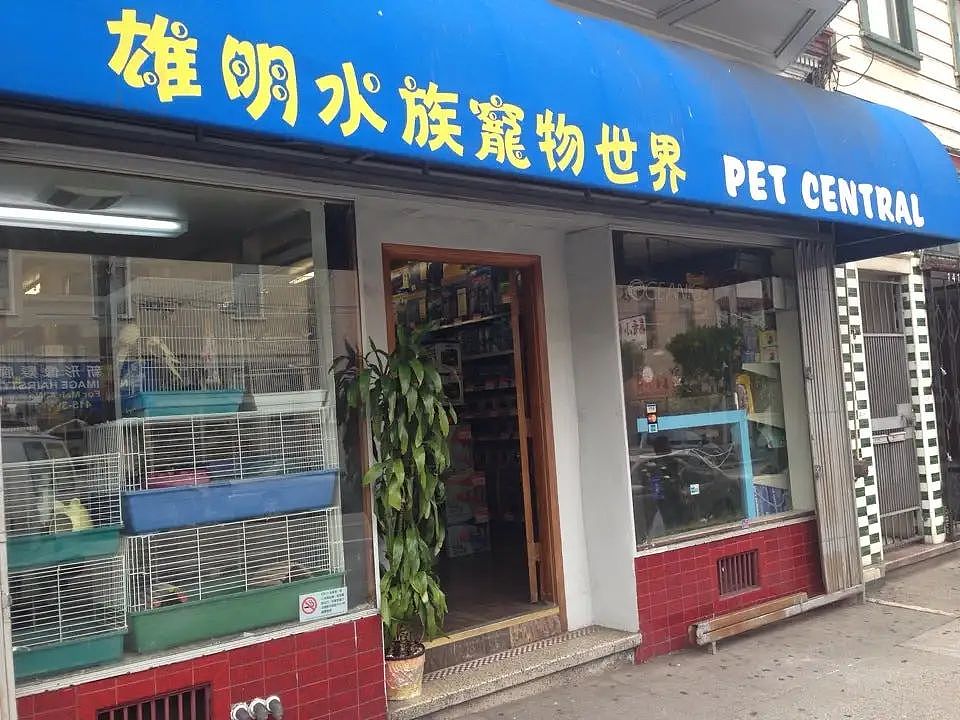 开店40年，这位华人老板却要把店免费送人，但有一个条件...（组图） - 2