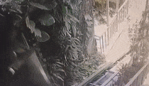 视频曝光！巴厘岛网红度假村电梯坠落百米悬崖，5人活活摔死，尸体严重变形（组图） - 8