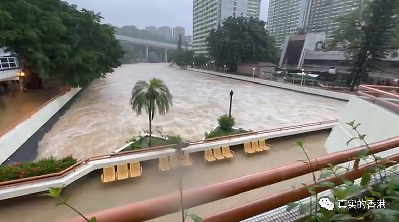 600毫米的降雨量！香港是怎么“活”过来的？（组图） - 11