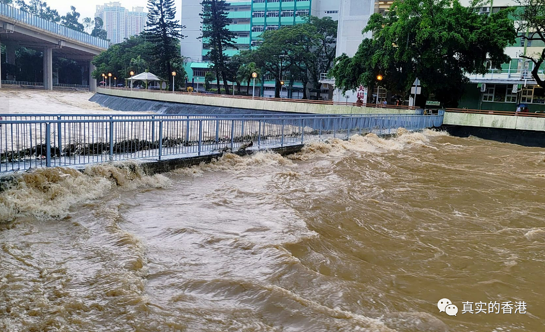 600毫米的降雨量！香港是怎么“活”过来的？（组图） - 13