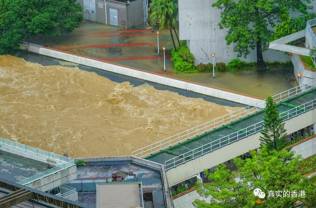 600毫米的降雨量！香港是怎么“活”过来的？（组图） - 30