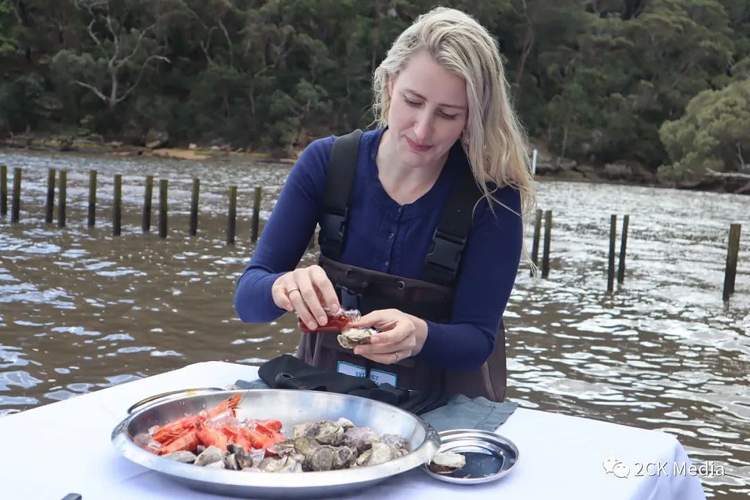 独家原创：不一样的享受！Sydney Oyster Farm Tours——站在水中吃海鲜大餐（组图） - 11