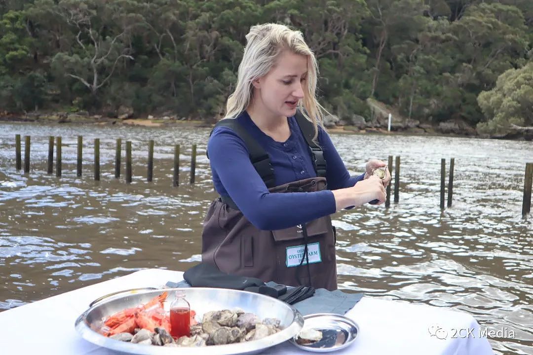独家原创：不一样的享受！Sydney Oyster Farm Tours——站在水中吃海鲜大餐（组图） - 10