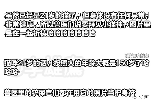 【爆笑】“杨洋被曝偷偷开宾馆？！”哈哈哈网友评论笋到家了！（组图） - 5