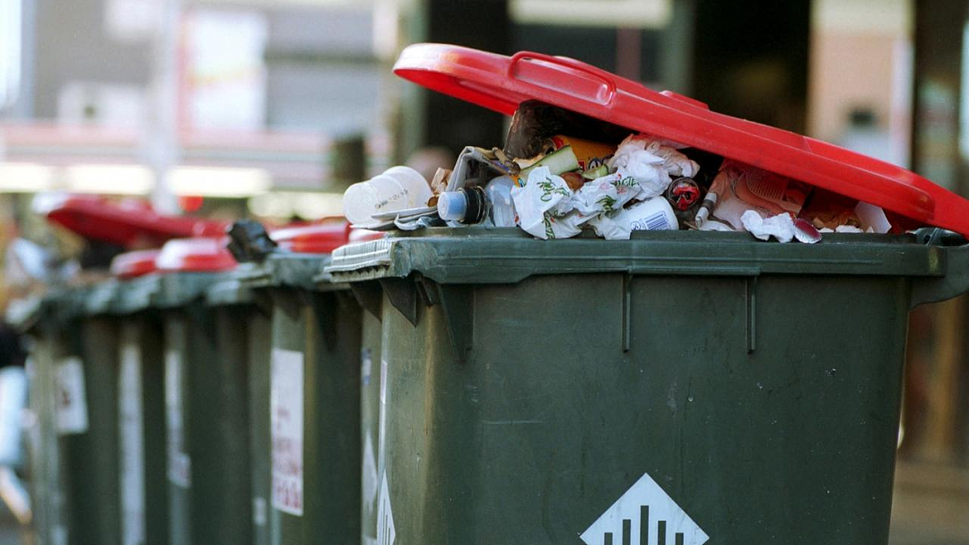 注意！悉尼多地下月实施新规，红色垃圾桶两周收一次（组图） - 4