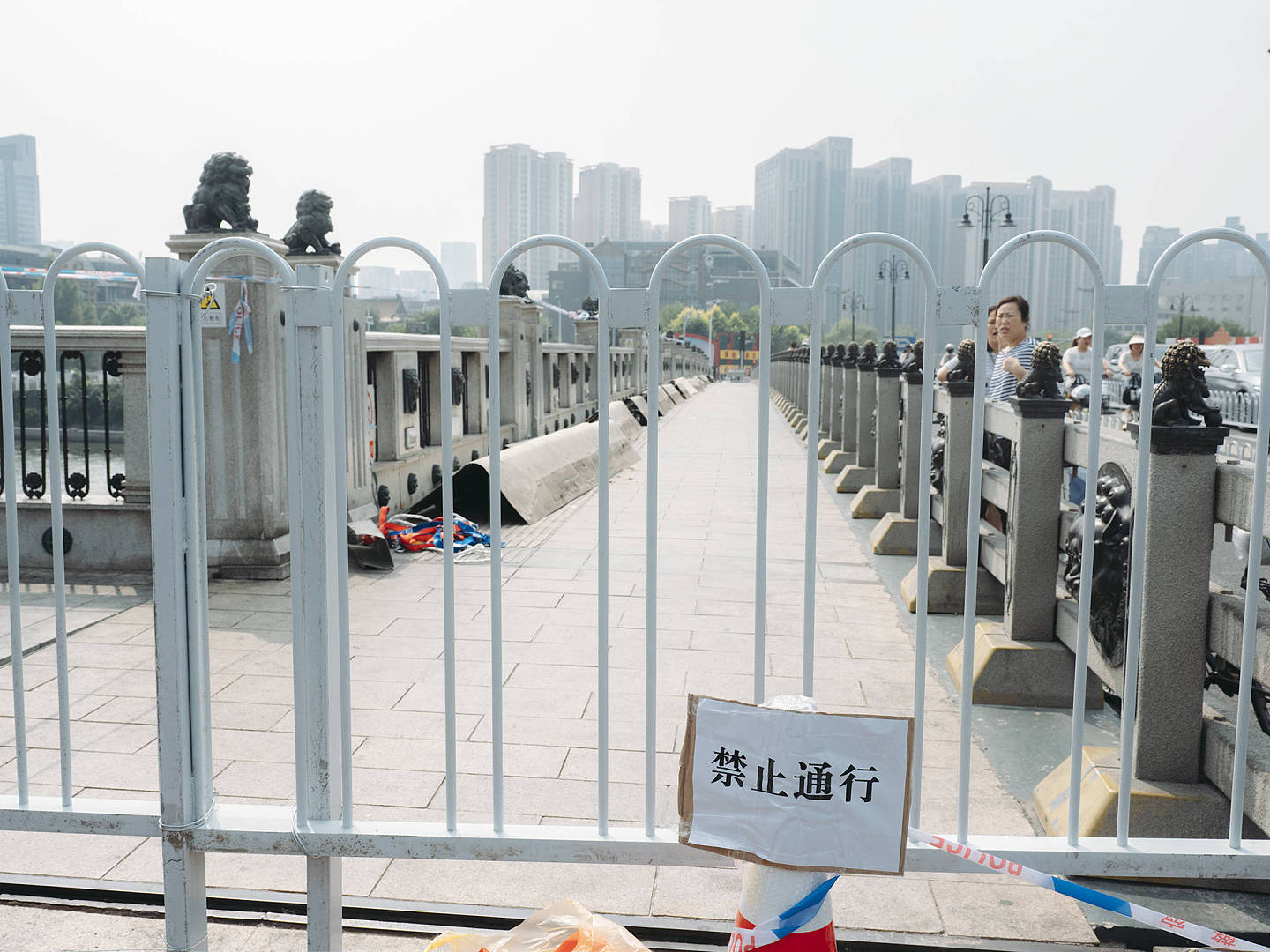 68岁中国大妈不顾家人反对跳水5年，大桥关停难受（组图） - 24