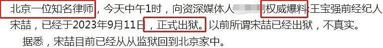 王宝强前经纪人宋喆已出狱，赴京与马蓉相聚？网友：蜘蛛网有人扫了！（组图） - 2