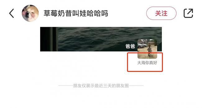 日本核水排海，中国人“网暴死”了一群中国人…（组图） - 17