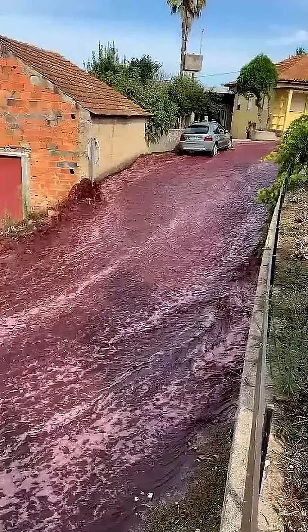 画面曝光！欧洲葡萄牙小镇“红酒成河”…（视频/图） - 1