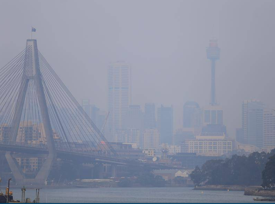 悉尼人快被呛死了！连续数日被烟雾笼罩，空气质量全球倒数第三……（组图） - 14