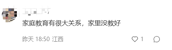 一个月没关门，房子疑被10000鸽子占领！华人房东怒曝中国留学生租客（组图） - 25