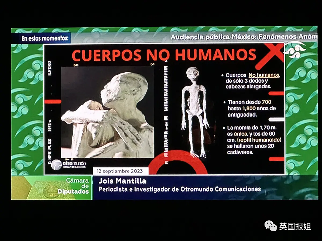 惊人反转！墨西哥“外星人遗体”竟是假的？专家背书被狂打脸（组图） - 16