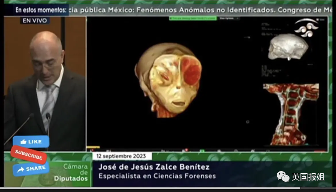 惊人反转！墨西哥“外星人遗体”竟是假的？专家背书被狂打脸（组图） - 13