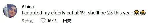 【宠物】网友收养20岁的老猫，并被告知猫活不久，想不到奇迹出现，如今...（组图） - 23