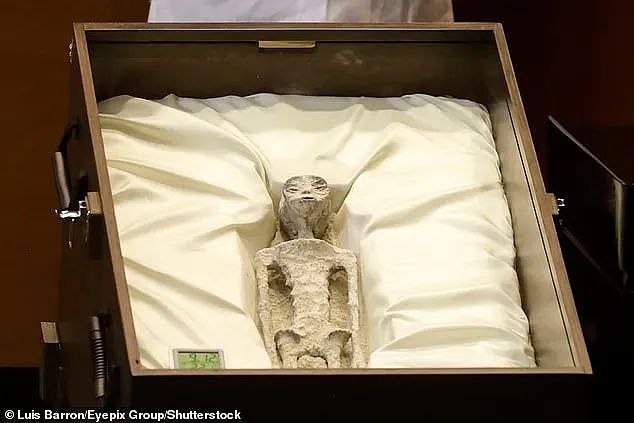 举世震惊！墨西哥展出外星人遗骸，三根手指、脖子可伸缩……（组图） - 1