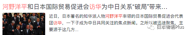 河野太郎：欢迎中国人加入日本国籍创造新日本人，遭网友猛喷，本人发声回应（组图） - 6