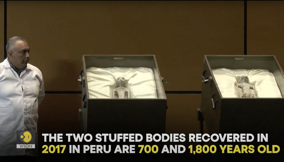 离大谱！墨西哥展出两具“外星人尸体”遭质疑，网友：照着ET长的，太刻板印象了...（组图） - 5
