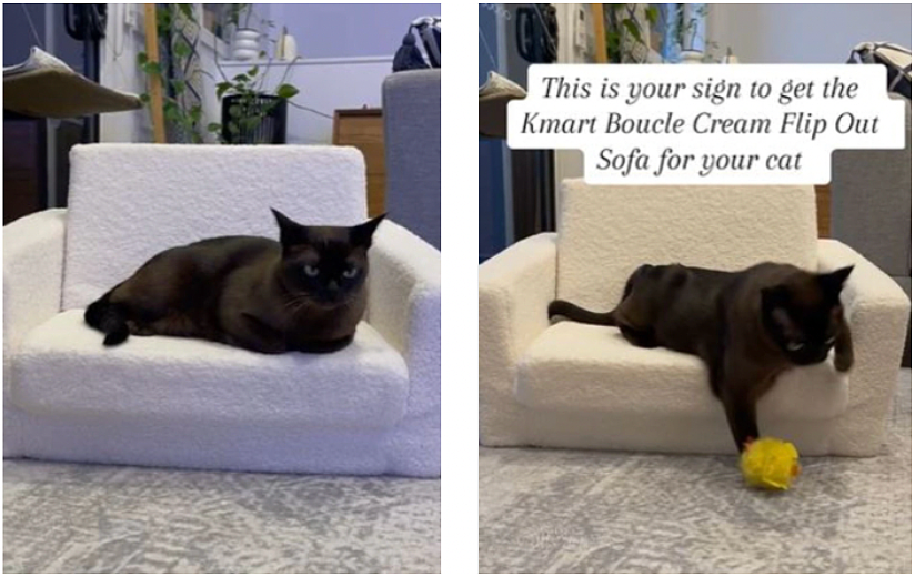 卖断货的节奏哈！Kmart售价19刀小沙发，孩子和宠物们的大爱（组图） - 6