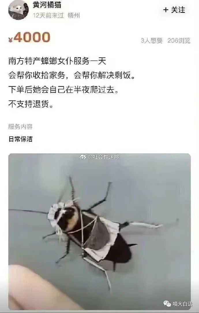 【爆笑】“被亲妈催婚后反向催她上班...”哈哈哈哈哈好一个魔法打败魔法（组图） - 25