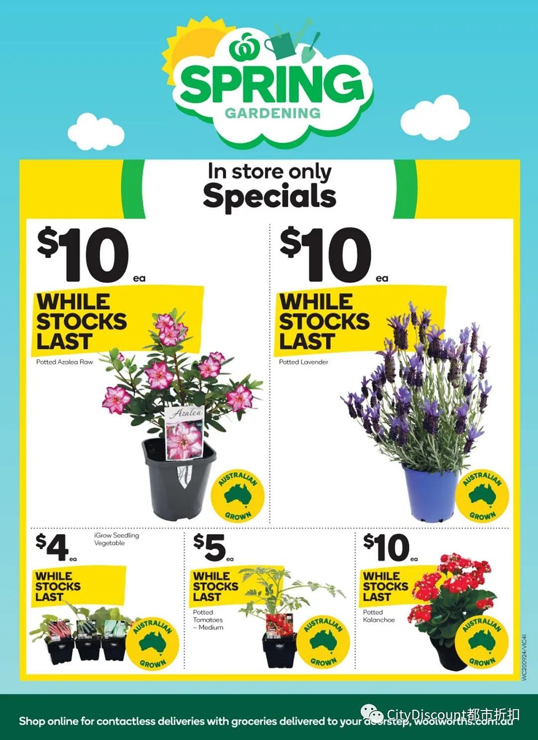 Woolworths & Coles 9月20日至26日优惠目录（组图） - 39