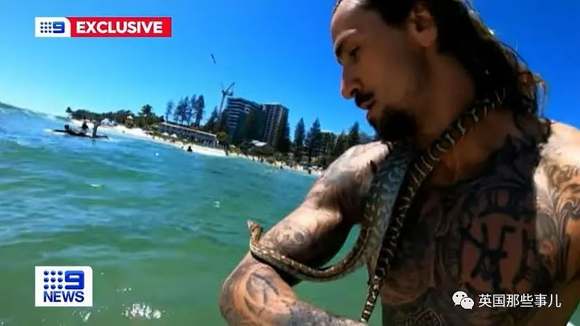 澳洲男子带蛇下海游泳引发围观后遭罚款？专家：海水太冷了对蛇不好！（组图） - 16