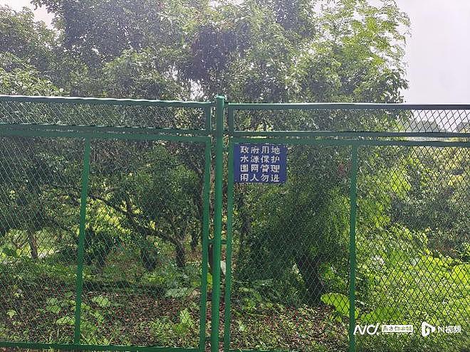 深圳罗湖网红景点建完封三年，被指部门扯皮、资金浪费（组图） - 4