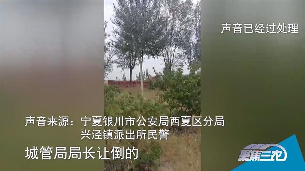 银川300多亩农田堆满垃圾：镇领导抢夺村民手机要求删视频，当地回应（视频/组图） - 7