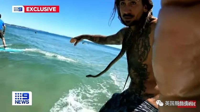 澳洲男子带蛇下海游泳引发围观后遭罚款？专家：海水太冷了对蛇不好！（组图） - 11