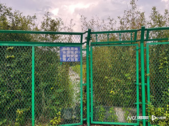 深圳罗湖网红景点建完封三年，被指部门扯皮、资金浪费（组图） - 6